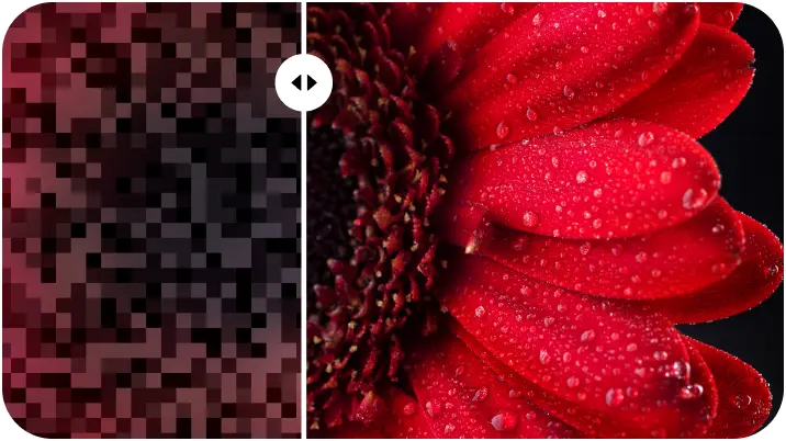 AI Image Upscaler Pixelated vs enhanced flower close-up